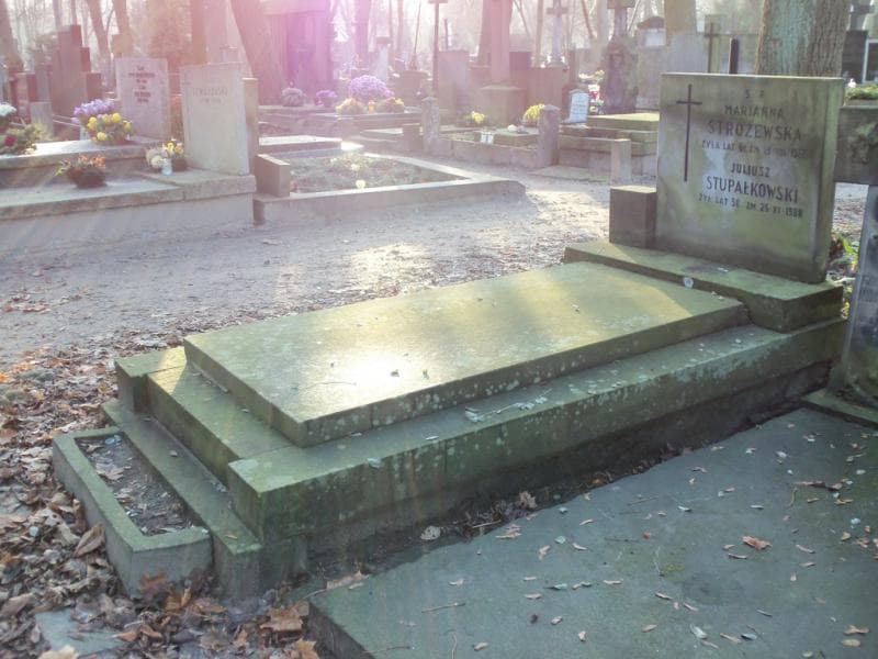Zdjęcie grobu Marianna Stróżewska (1)