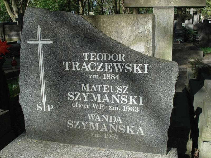 Zdjęcie grobu Teodor Traczewski (1)