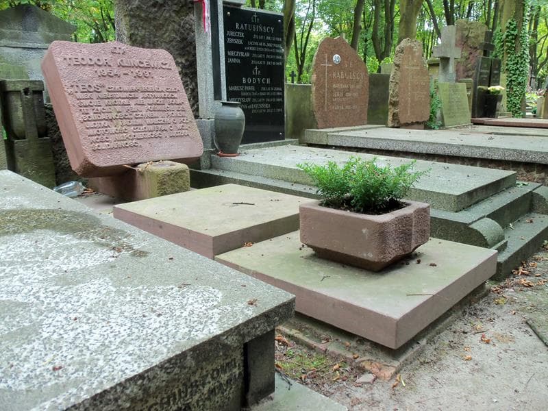 Zdjęcie grobu Teodor Klincewicz (1)