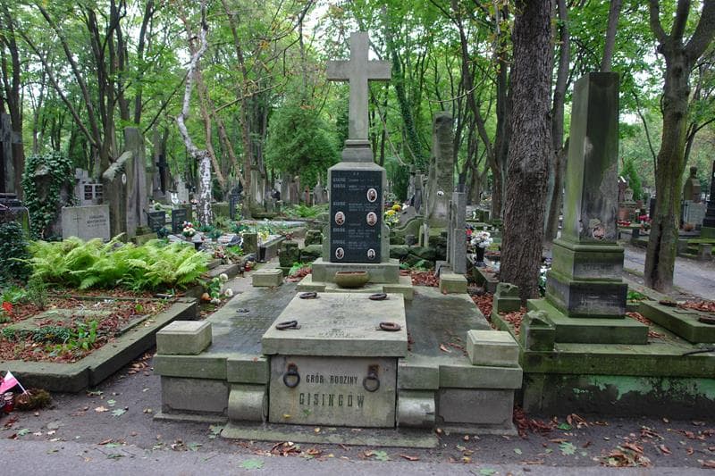 Zdjęcie grobu Julia Iwanowska (1)