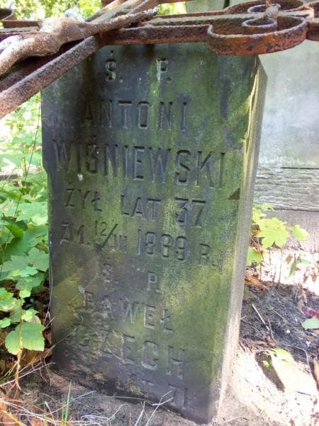 Zdjęcie grobu Paweł Czech (2)