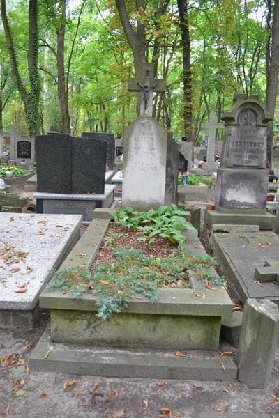 Zdjęcie grobu Mieczysława Tomaszewska (1)