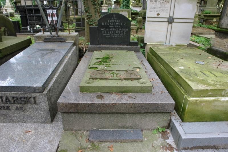 Zdjęcie grobu Antoni Krzaczyński (1)