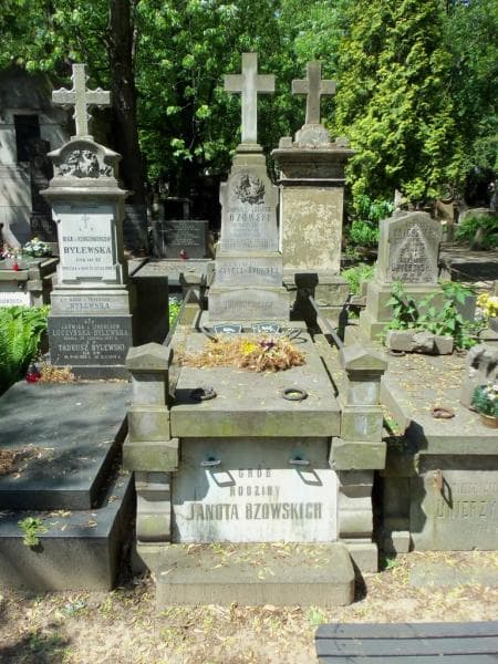 Zdjęcie grobu: Zygmunt Janota-Bzowski