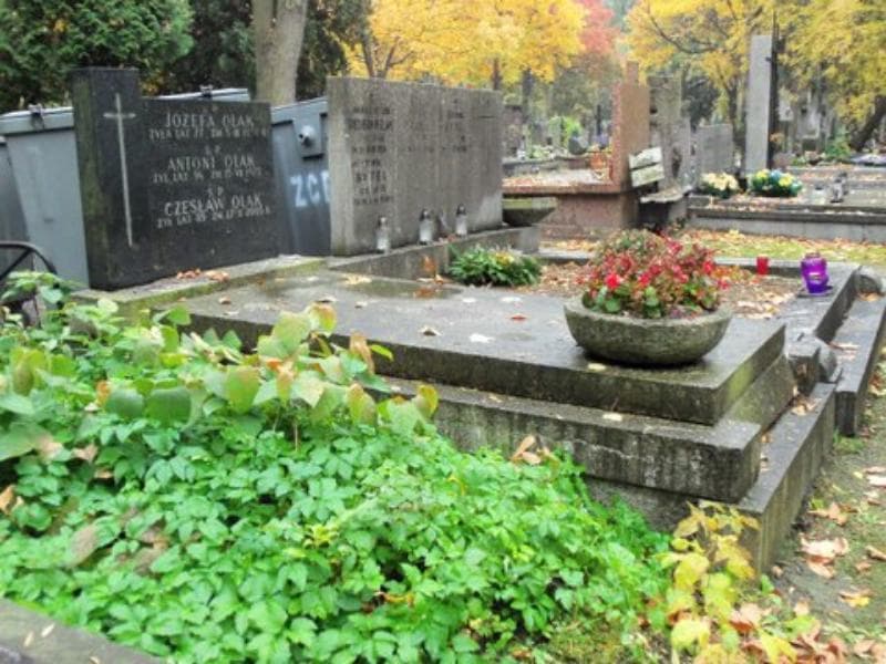 Zdjęcie grobu Antoni Olak (1)