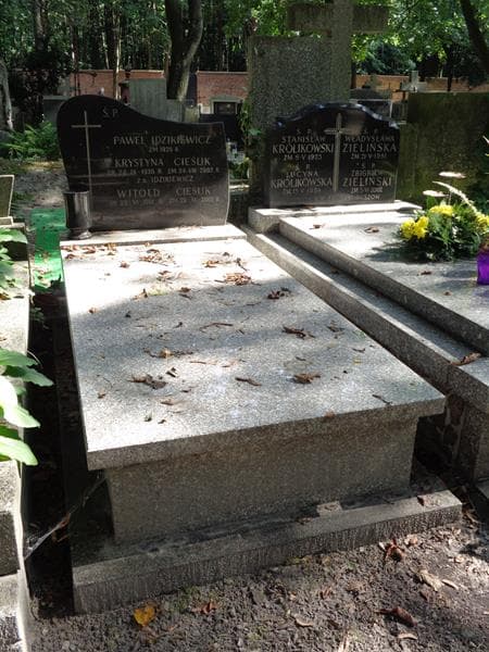 Zdjęcie grobu Krystyna Cieślik (1)