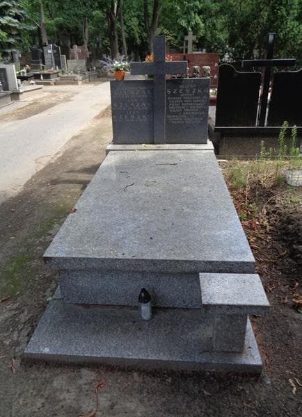 Zdjęcie grobu Leon Szeszko (1)