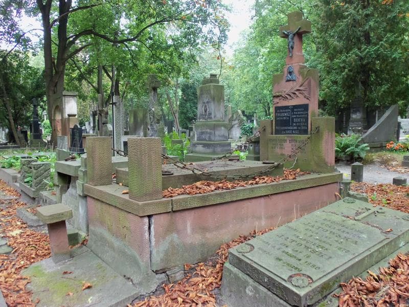 Zdjęcie grobu Franciszek Piniarowicz (1)