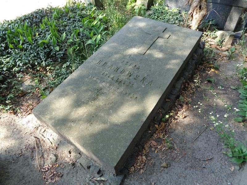 Zdjęcie grobu Zofja Krąkowska (2)