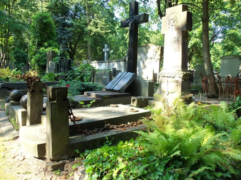 Zdjęcie grobu Roman Bednarski (1)