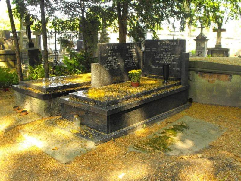 Zdjęcie grobu Karol Buttner (2)