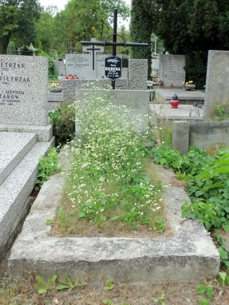 Zdjęcie grobu: Marianna (maria) Kulbicka