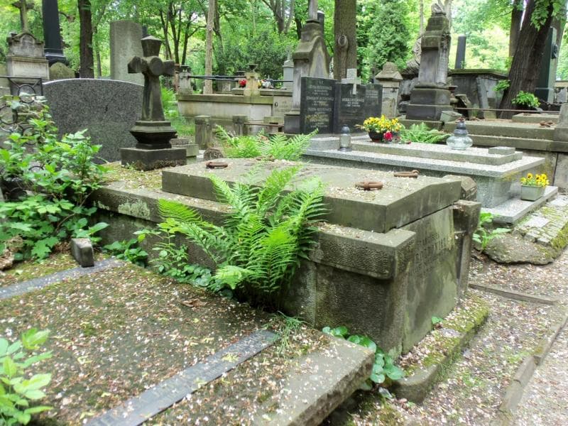 Zdjęcie grobu Franciszek Brozdowicz (1)