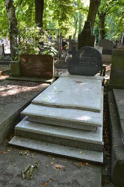 Zdjęcie grobu Stanisława Oleś (1)