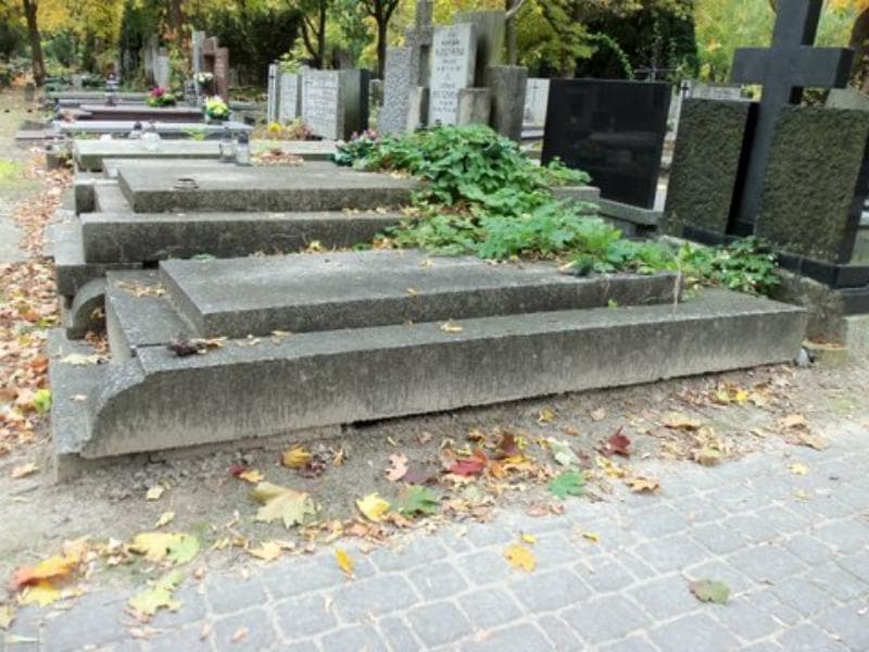 Zdjęcie grobu Józef Bończa - Tomaszewski (1)