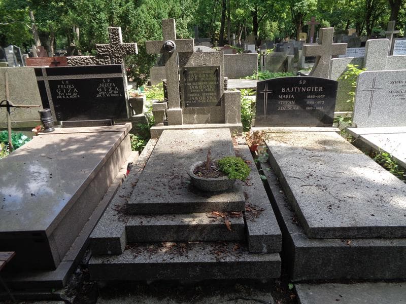 Zdjęcie grobu Kazimierz Julian Jaworski (1)