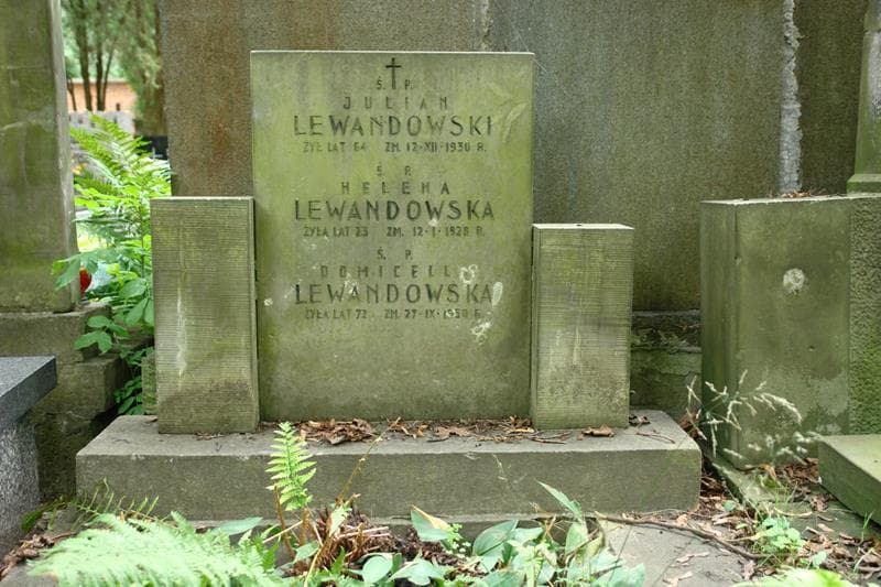 Zdjęcie grobu Domicella Lewandowska (2)
