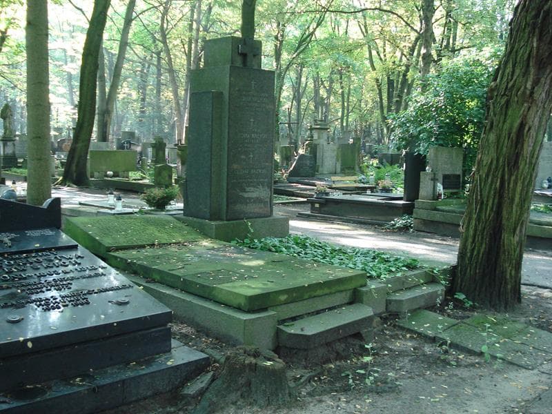 Zdjęcie grobu Eugeniusz Colonna-Walewski (1)