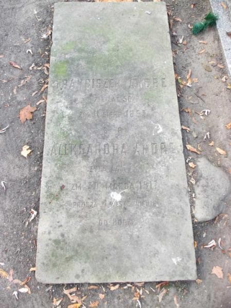Zdjęcie grobu Franciszek Andre (2)