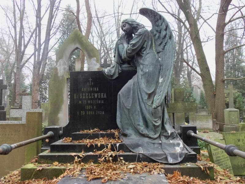 Zdjęcie grobu Zofia Stulgińska (2)
