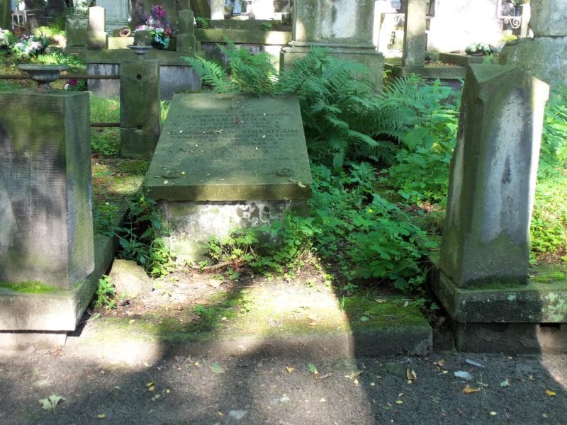 Zdjęcie grobu: Teodora Jarzyńska