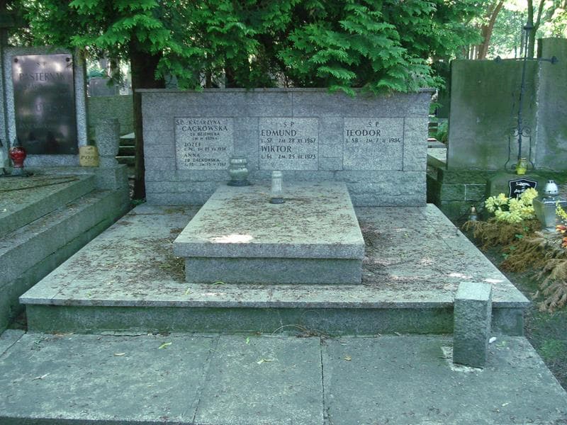 Zdjęcie grobu: Anna Tarnowska