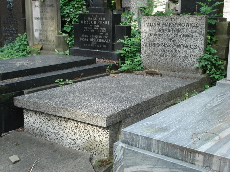 Zdjęcie grobu Adam Maksymowicz (1)