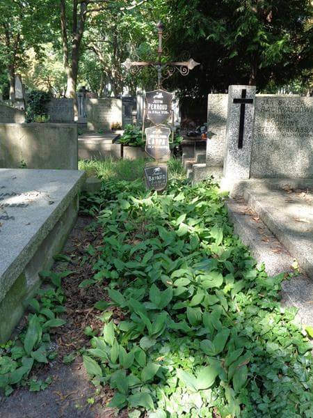 Zdjęcie grobu: Jozefina Perroud