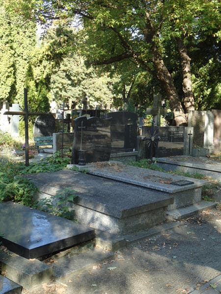 Zdjęcie grobu Zdzisław Bagiński (2)