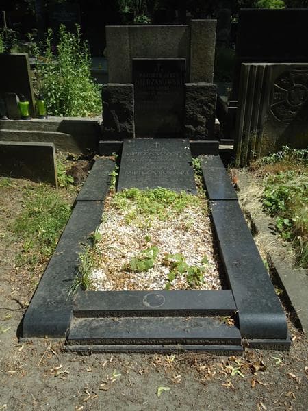 Zdjęcie grobu: Ludwik Aureliusz Mierzanowski
