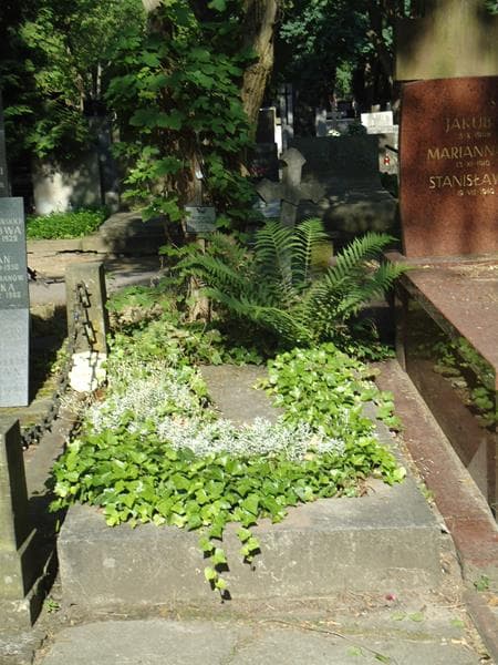 Zdjęcie grobu: Wojciech Trojanowski