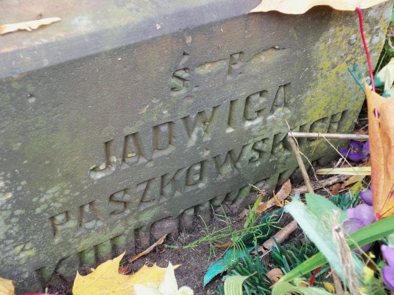 Zdjęcie grobu Jadwiga Kuligowska (2)