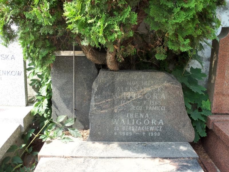 Zdjęcie grobu Aleksander Waligóra (2)