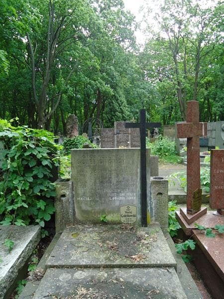 Zdjęcie grobu Stefan Gołębiowski (2)