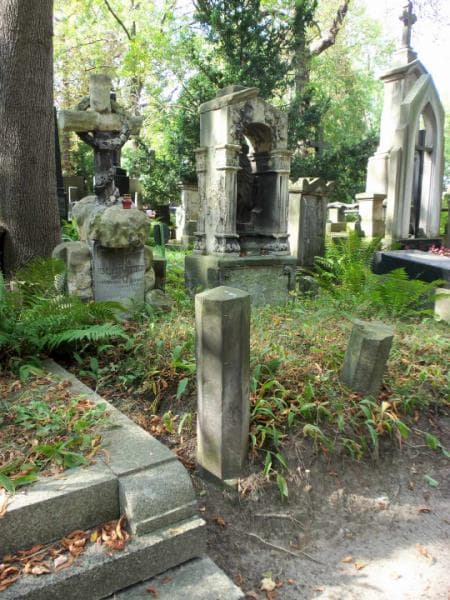 Zdjęcie grobu Teodor Rościszewski (1)