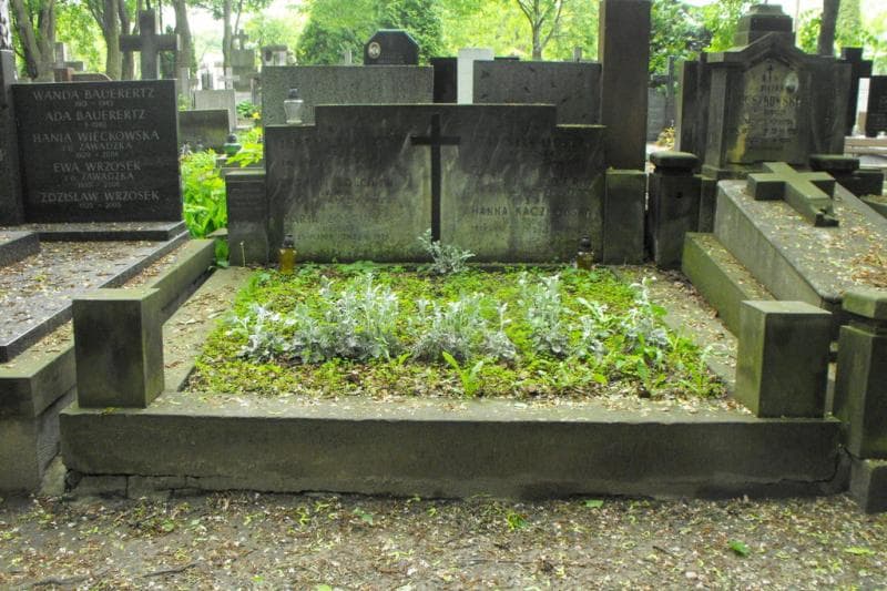 Zdjęcie grobu: Zygmunt Żółciński