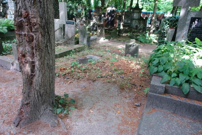 Zdjęcie grobu Pole Grobowe (1)