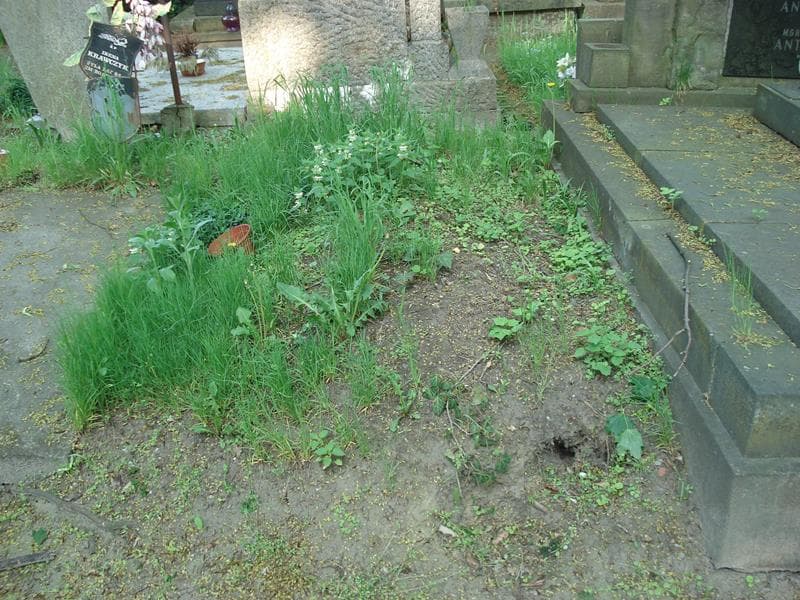 Zdjęcie grobu: Pole Grobowe