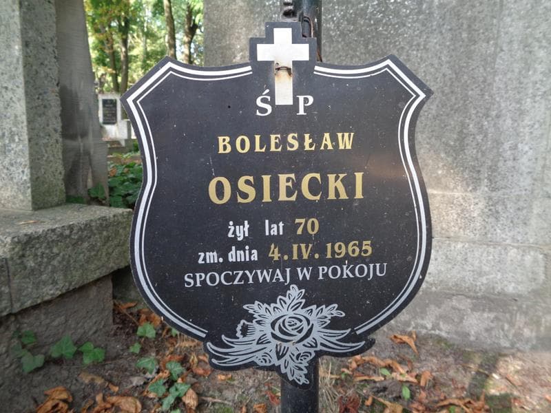 Zdjęcie grobu Bolesław Osiecki (2)