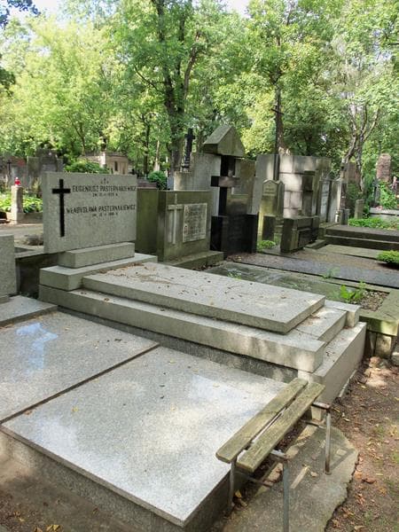 Zdjęcie grobu Eugeniusz Pasternakiewicz (1)