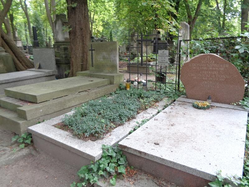 Zdjęcie grobu: Aleksander Gumbrycht