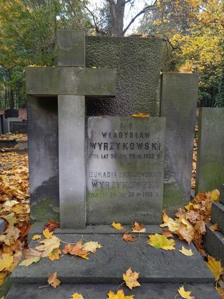 Zdjęcie grobu Stanisław Wyrzykowski (2)