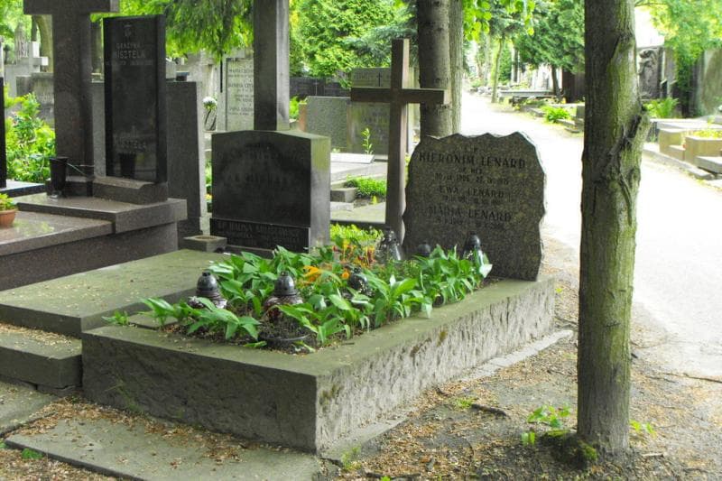 Zdjęcie grobu Maria Lenard (1)