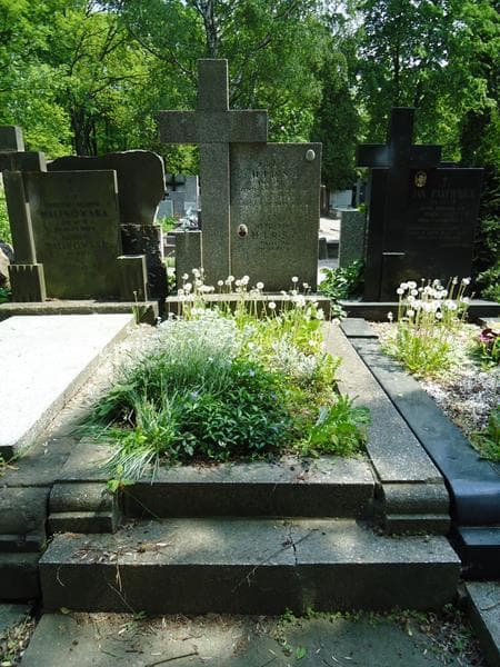 Zdjęcie grobu: Władysław Hirsz