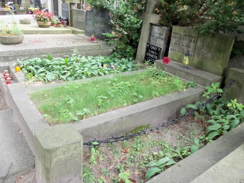 Zdjęcie grobu Anna Arczyńska (1)