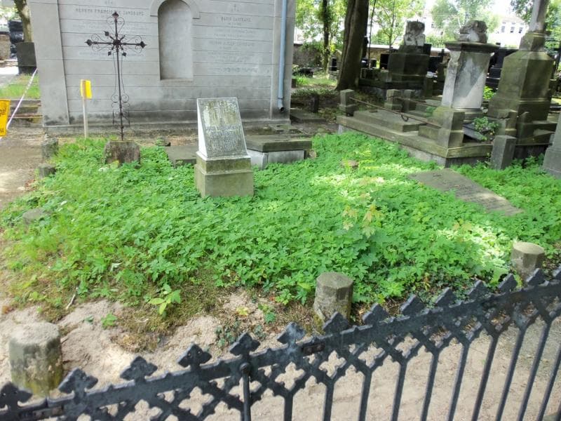 Zdjęcie grobu: Wacław Mieczyński