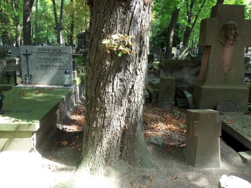 Zdjęcie grobu Pole Grobowe (1)