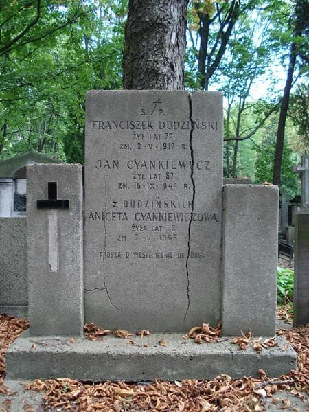 Zdjęcie grobu Aniceta Cyankiewiczowa (2)