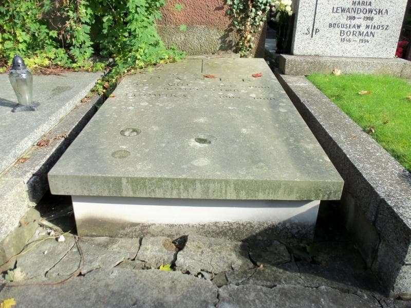 Zdjęcie grobu: Ludwika Danek