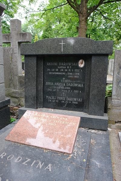 Zdjęcie grobu Zofia Aniela Darowska (2)